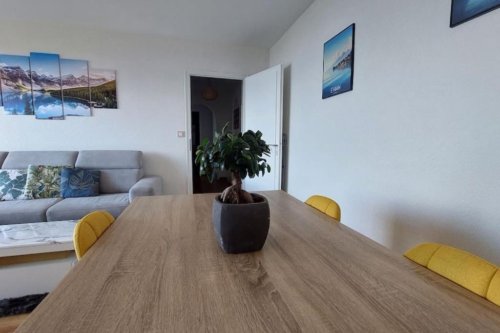 Appart Cosy Avec Vue Sur Le Lac Leman Évian-les-Bains Exterior foto